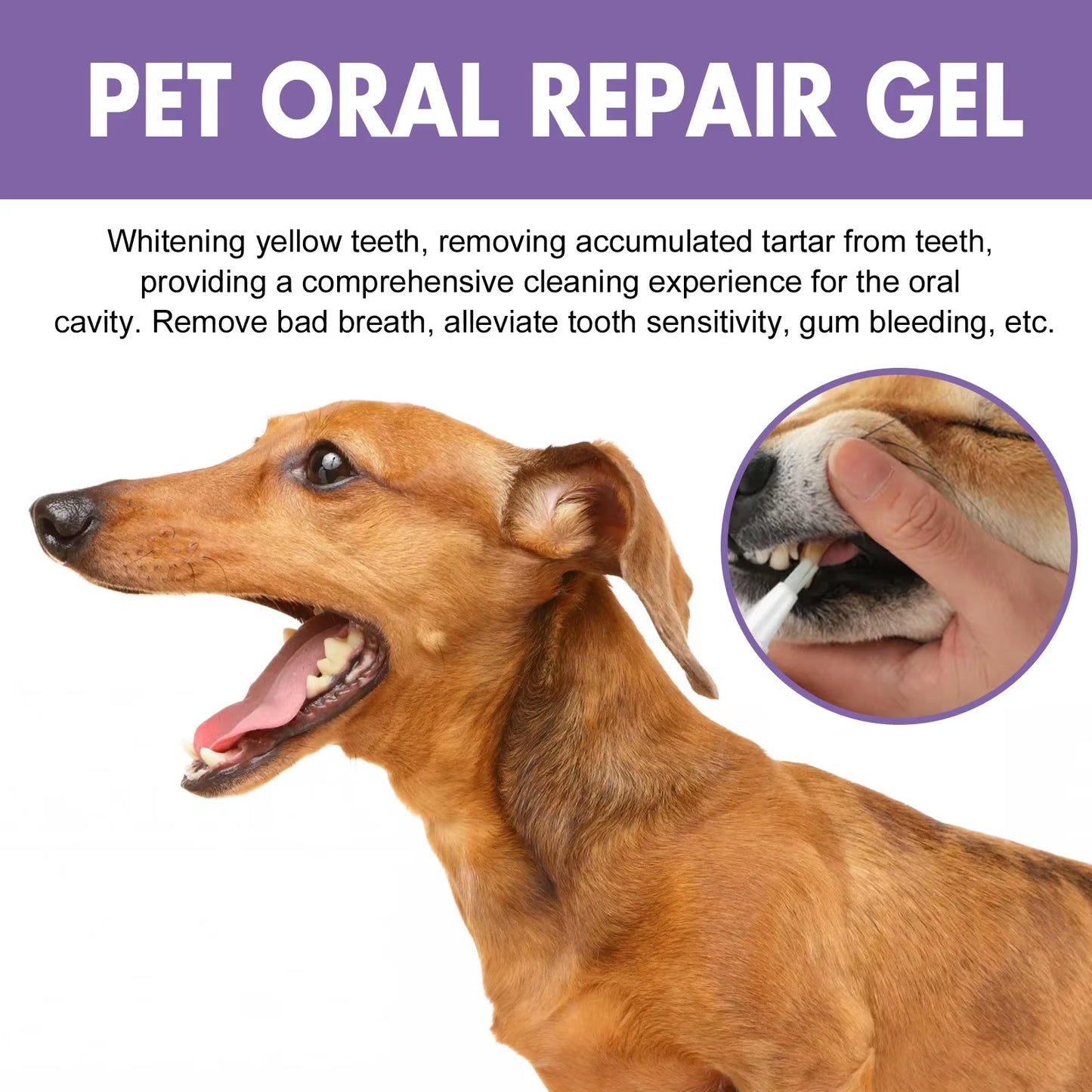 Pet Teeth Cleaning Pen Natural Teeth Cleaning Tools Pet Oral Repair Gel Dog Grooming Toothbrush Dental Stain Cleaning Pen