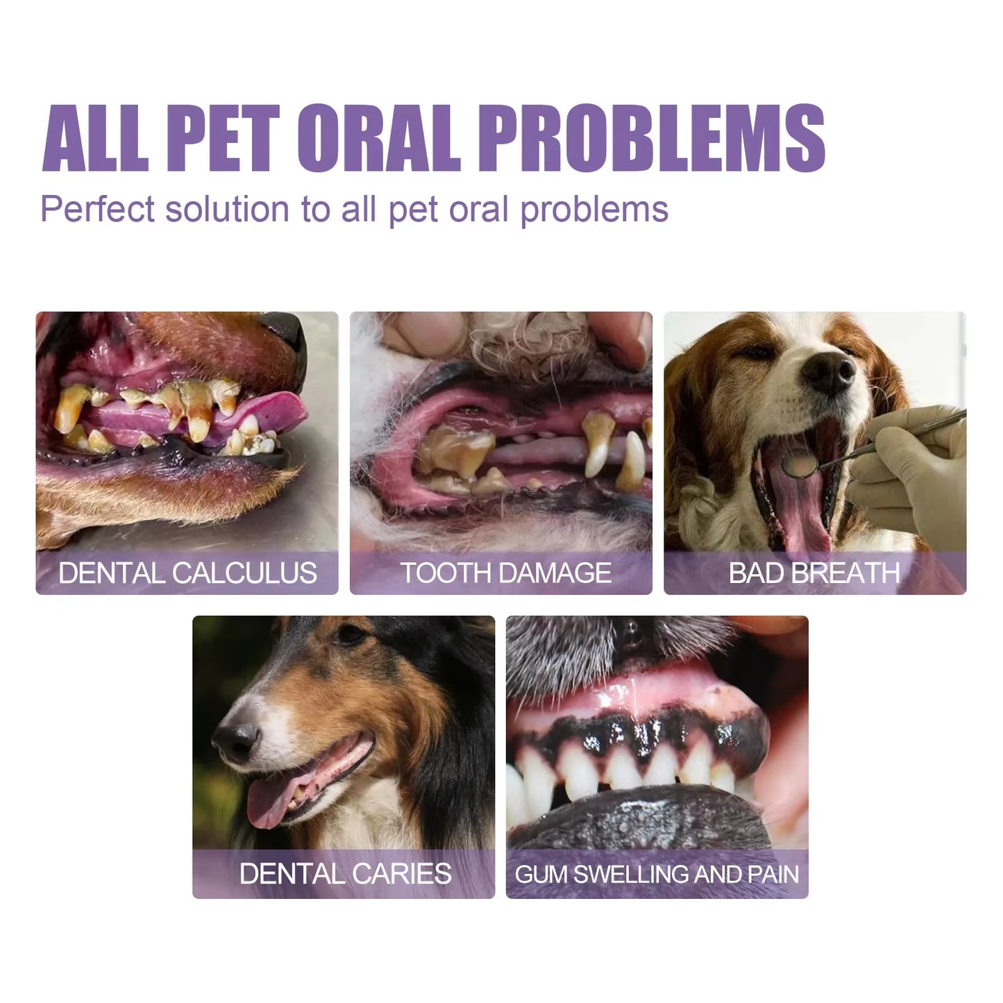 Pet Teeth Cleaning Pen Natural Teeth Cleaning Tools Pet Oral Repair Gel Dog Grooming Toothbrush Dental Stain Cleaning Pen
