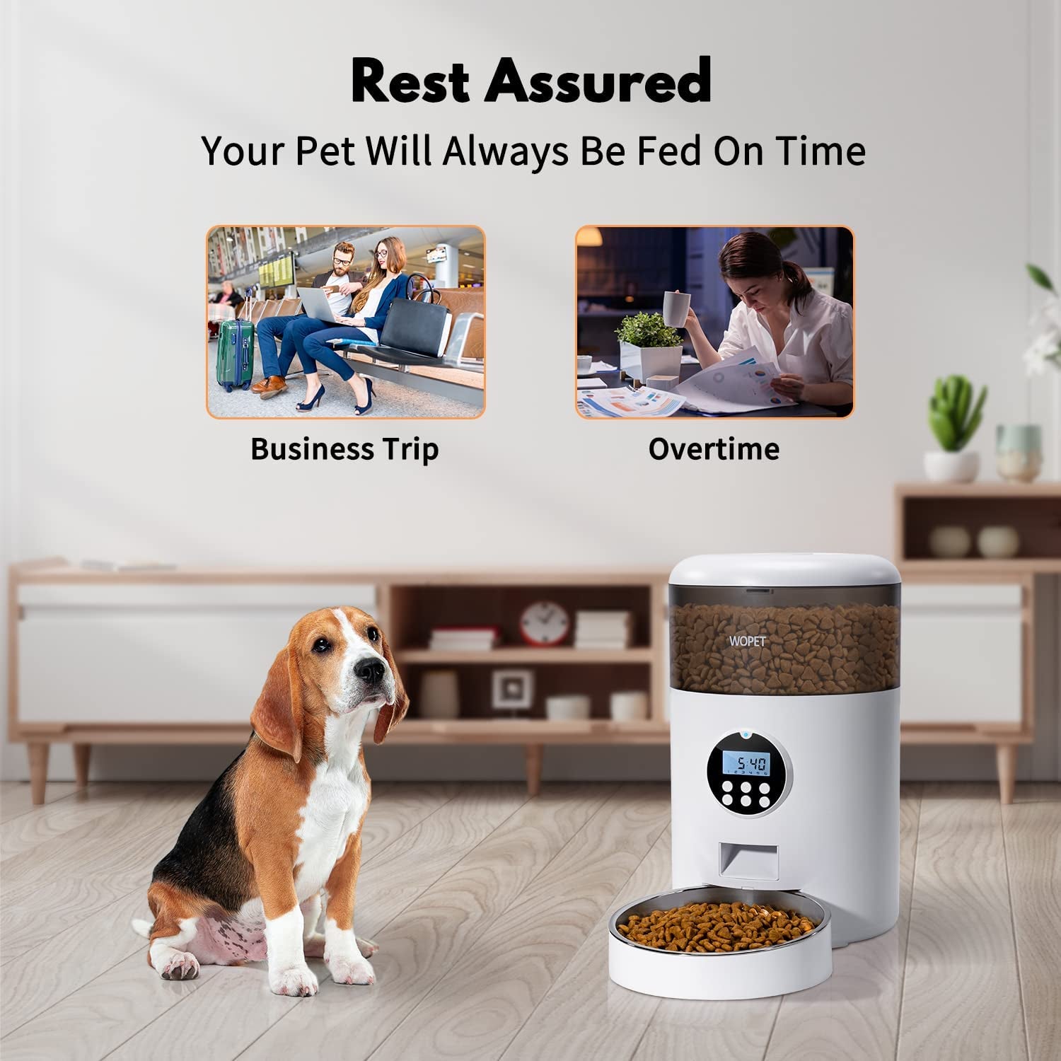 4L Automatic Cat Feeder,Timed Dog Feeder Pet Food Dispenser with Desiccant Bag for Dry Food,Programmable Portion Control & Voice Recorder for Small/Medium Pets (4L, Grey)